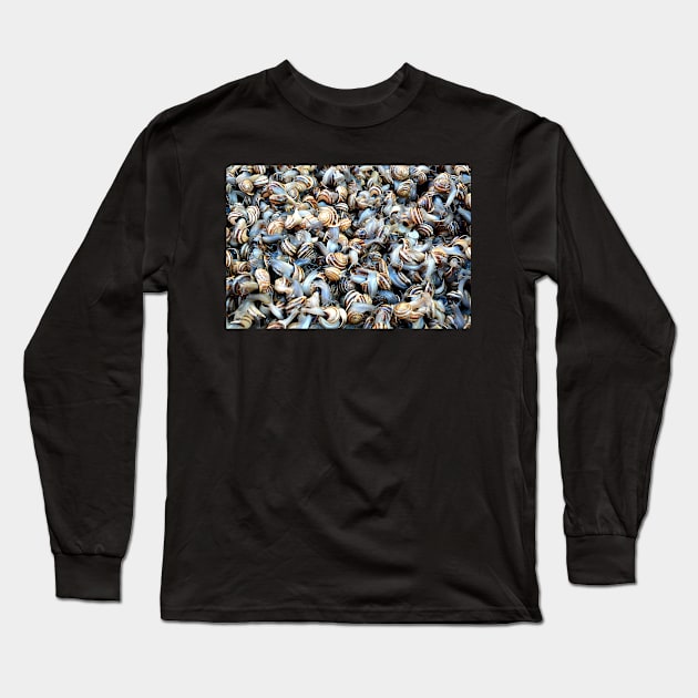 Caracoles Galore Long Sleeve T-Shirt by AlexaZari